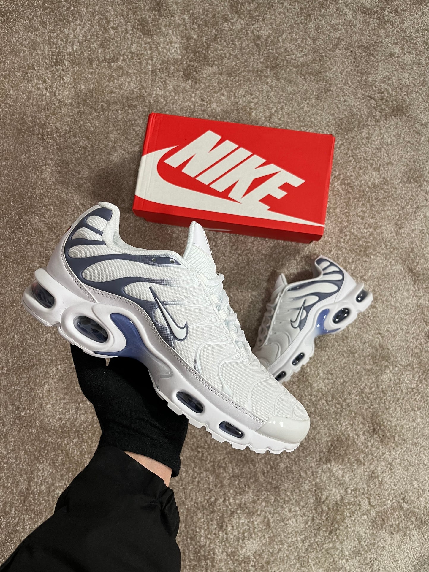 Nike Air Max Plus TN