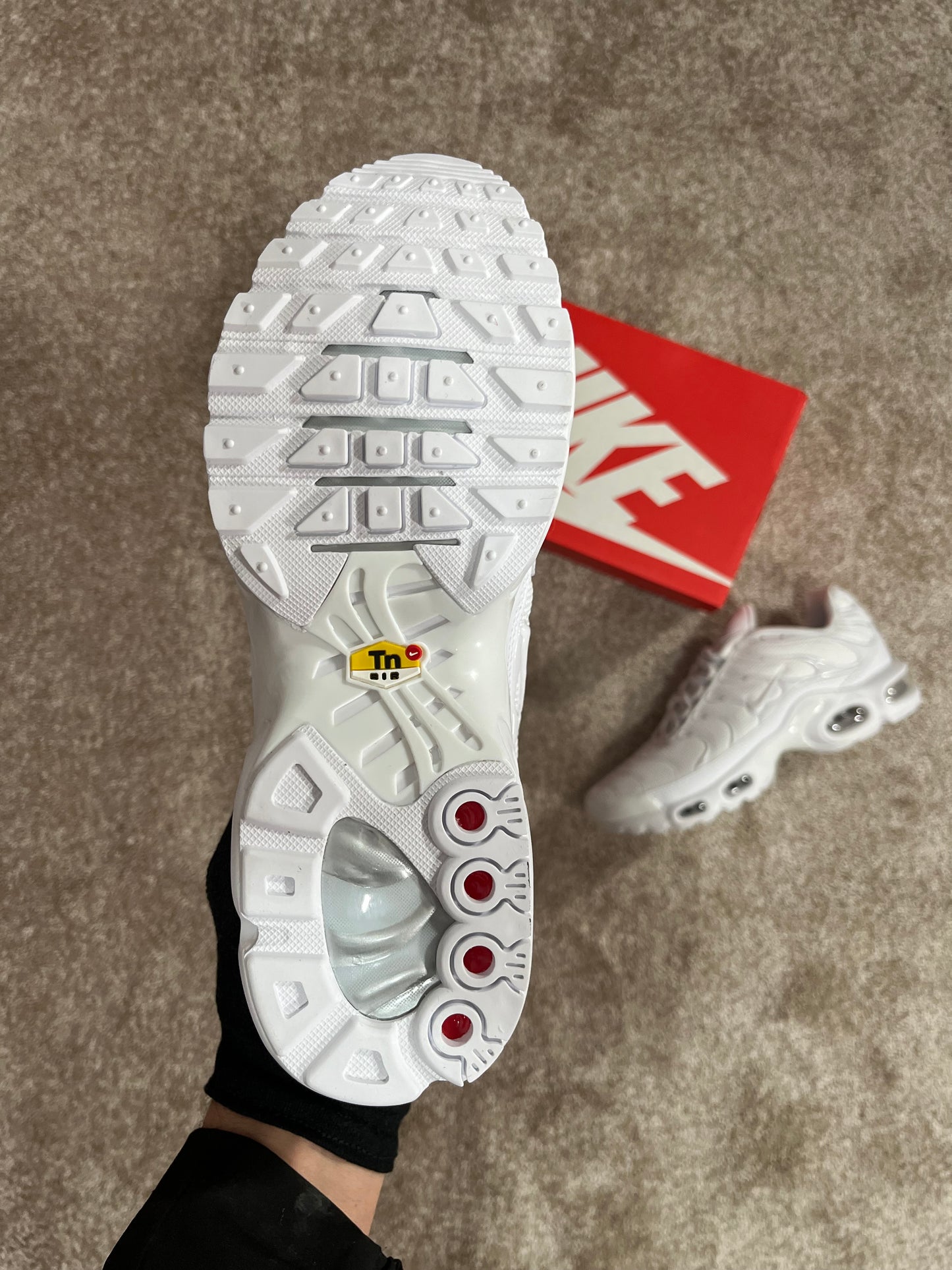 Nike Air Max Plus TN FULL WHITE