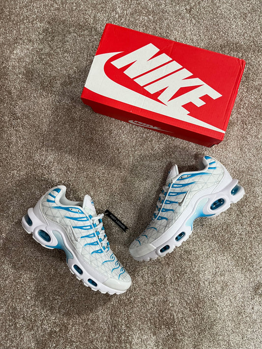 Nike Air Max Plus TN Marseilla